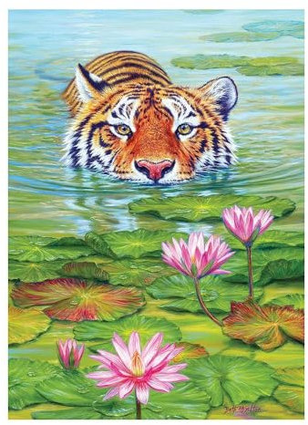 Cobble Hill 3840031 Tiger im Land des Lotus, 1000 Teile Puzzle inkl. Puzzleposter für Erwachsene und Kinder ab 12 Jahren, Asien, Tigerpuzzle