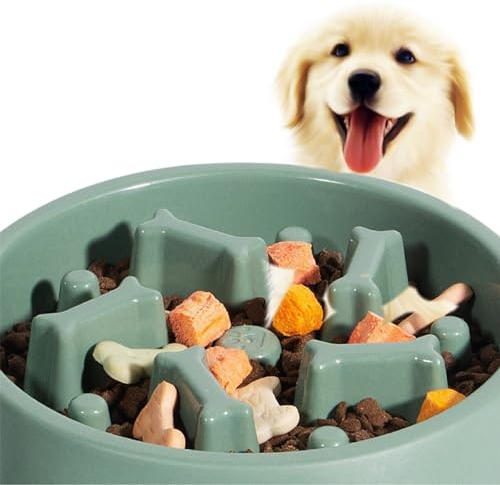 DERDOUT Slow Feed Dog Bowl Food Anti swelling, Anti swallowing, Healthy Diet Interaction, Non slip Feeder for Small and Medium Dogs Pet Bowl - Green