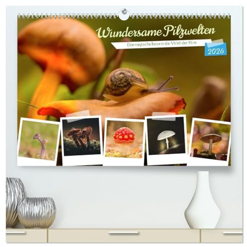 Wundersame Pilzwelten (hochwertiger Premium Wandkalender 2026 DIN A2 quer), Kunstdruck in Hochglanz: Die besondere Welt der Pilze erleben. (CALVENDO Natur)