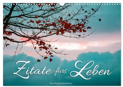 Zitate fürs Leben (Wandkalender 2026 DIN A3 quer), CALVENDO Monatskalender: Alltagstaugliche Weisheiten berühmter Denker eindrucksvoll bebildert. (CALVENDO Kunst)