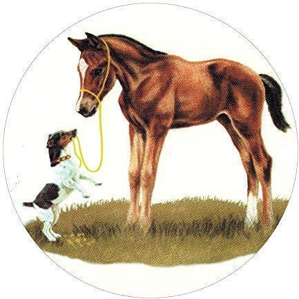 PVC-Aufkleber rund ca. 9 cm Fohlen und Jack Russel ©Kollektion Bötzel PF066