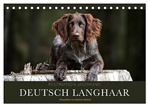 Faszination Jagdhund - Deutsch Langhaar (Tischkalender 2026 DIN A5 quer), CALVENDO Monatskalender: Deutsch Langhaar - Ein Leben neben der Jagd (CALVENDO Tiere)