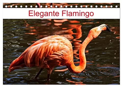 Elegante Flamingo (Tischkalender 2026 DIN A5 quer), CALVENDO Monatskalender: Rosarote Wasservögel (CALVENDO Tiere)