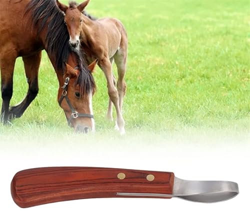 Couteau à Sabot Couteau à Parer Les Sabots à Double Tranchant avec Manche en Bois Couteau Ovale Couteau à Sabot De Cheval Lame en Acier Inoxydabl pour Sabots De Toilettage équin