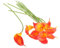 PRETYZOOM 10 Stücke Orange Real Touch Künstliche Blumen Hochzeit Bouquets Set Pu Material