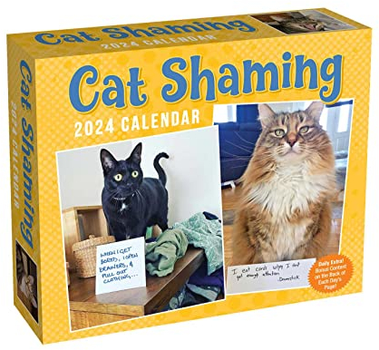 Cat Shaming 2024 Day-to-Day Calendar