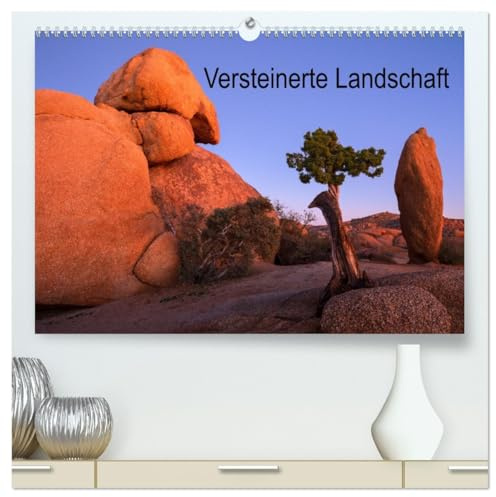 Versteinerte Landschaft (hochwertiger Premium Wandkalender 2026 DIN A2 quer), Kunstdruck in Hochglanz: Eine bunte Bilderreise durch den steinigen Südwesten der USA (CALVENDO Natur)
