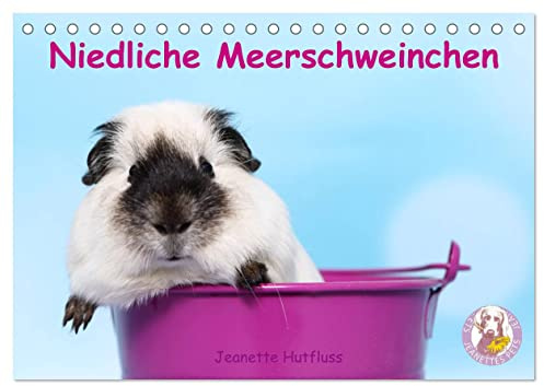 Niedliche Meerschweinchen (Tischkalender 2026 DIN A5 quer), CALVENDO Monatskalender: Jeden Monat ein anderes drolliges Kerlchen (CALVENDO Tiere)
