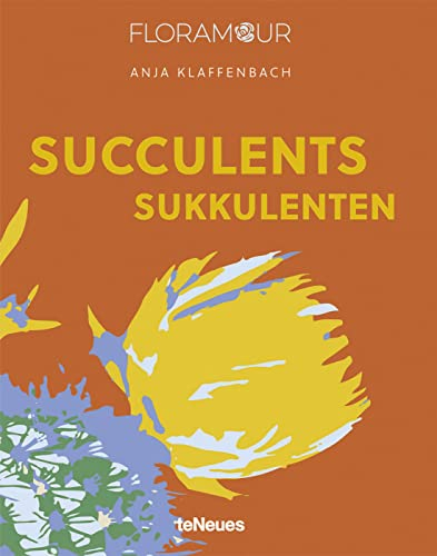 Floramour: Sukkulenten