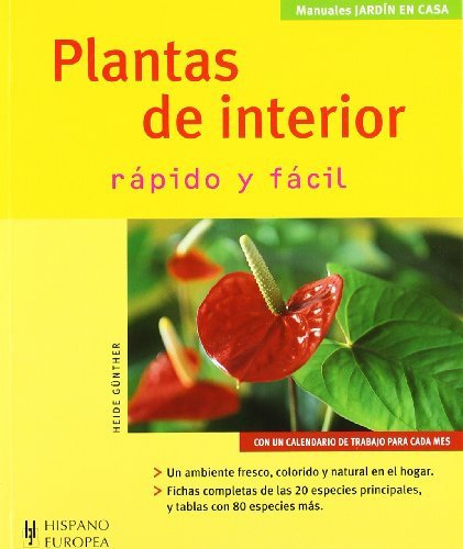Plantas de interior (Jardín en casa)