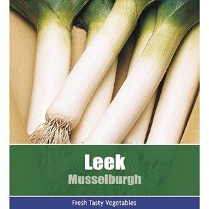 De Ree Leek Musselburgh Vegetable Plant 250 Seeds