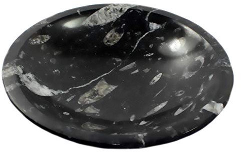 Budawi® Orthoceras Schale Dekoschale Edelsteinschale poliert versteinerte Fossilien