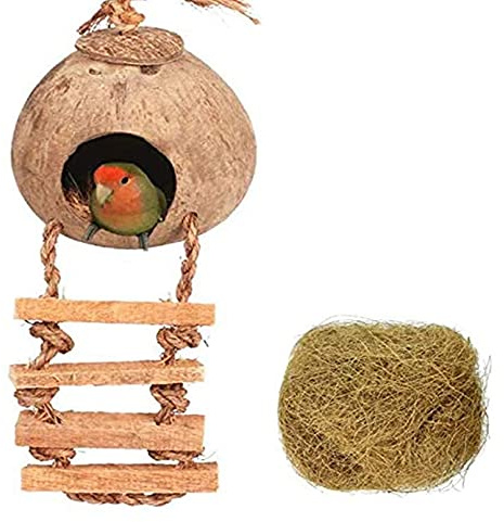 Tfwadmx Kokosleder mit Leiter, natürliche Kokosfaser, hängender Vogelhauskäfig, Kokosnuss-Vogelschale, Zuchtnest für Papageien, Sittiche, Lovebird, Finken, Kanarienvögel (2 Stück)