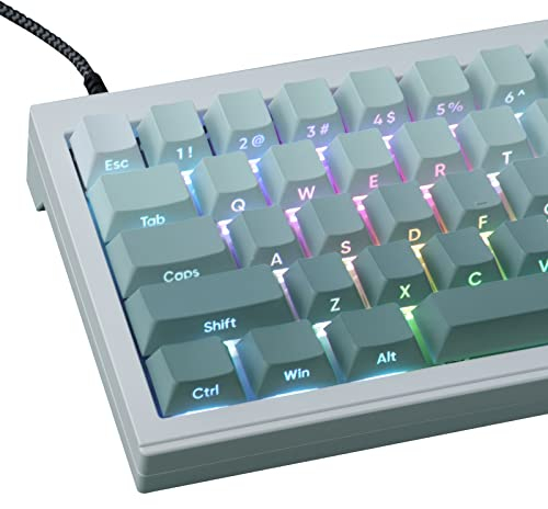JakeTsai PBT Keycaps, 135 Keys Double Shot Keycaps Side Printed Transparent Gradient Green Keycap Set, Cherry Profile Custom Keycap for Cherry MX Switch ASIN/Layout Mechanical Keyboard