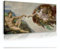 SHENGPOSTER Klassischer Michelangelo Die Schöpfung von Adam Posterdruck Renaissance Museum Ausstellung Leinwand Gemälde Große Wandkunst Bild Wohnkultur 60x120cm Innenrahmen