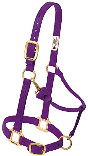 Weaver Leather Nylon Miniatur Pferd Verstellbares Halfter lila