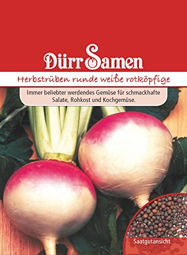 Herbstrüben runde weiße rotköpfige Rübe Rübensamen Rüben ca 500 Korn Saatgut Gemüse Garten Hochbeet Kübel Dürr Samen