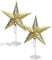 Lunartec Stern: 2er-Set Deko-Tischleuchte in Sternform, Gold (Dekoleuchte Stern, LED Tischleuchte Weihnachten, Batterie Leuchten)