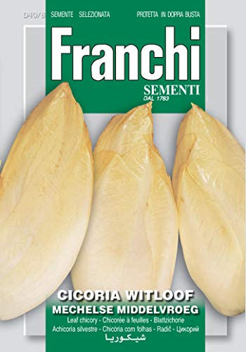 Franchi Belgian Witloof Chicory