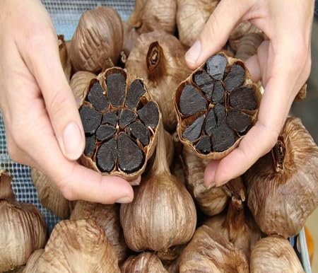 100 pièces de graines de légumes à l'ail