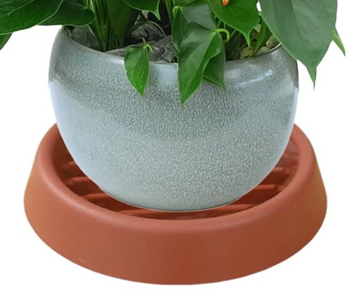 Plantadora de macetas, plato | Bandeja de jardín - Plantadora de jardineras engrosada interior y exterior con orificios de drenaje para flores, suculentas