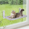 The Fellie Cat Window Bed, Foldable Cat Window Hammock, 52x30cm Sturdy Cats Bed Perch, Cats Hammock Windows Resting Seat for Pet Sunbathing Viewing, Grey