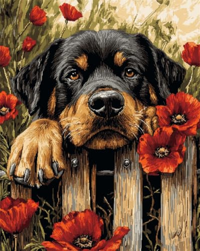 AxiangziK Hund Tier Diy Knüpfteppich Zum Selber Knüpfen Fantasie-Rottweiler Knüpfpackungen Für Teppiche Mit Bunten Mustern,Stick- Und Nähset 52x38cm