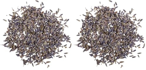 Rayher Hobby 34240000 Lavendelblüten, 5 g, getrocknet, duftintensive, aromatische Deko, Blütenmischungen zum Verzieren, ideal zum Einarbeiten in Badekugeln, Knetseife und Badesalz, Echtblüten