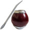 Tazza Mate di Zucca con Supporto e Set Bombilla