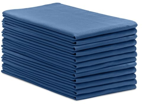 Avalon Towels Huck chirurgische Handtücher (12 Stück), 43,2 x 66 cm, 100% Baumwolle, Mehrzweck-Reinigungstücher, perfekt für Krankenhäuser und Zuhause (blau)
