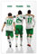 NEDOES Diego Claudio Pizarro Mesut Ozil Werder Bremen – Fußballspieler-Poster, Leinwand-Poster, Schlafzimmer, Dekoration, Sport, Landschaft, Büro, Raumdekoration, Geschenk, ungerahmt, 40 x 60 cm