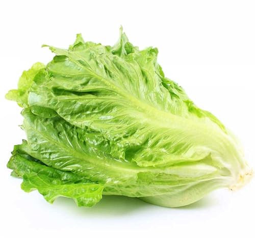 kiskick Semi di ortaggi, 1000 pezzi/borsa Semi di ortaggi Nutriente Delizioso Sano Giardino Lattuga romana Semi di ortaggi per la casa Semi Di Lattuga