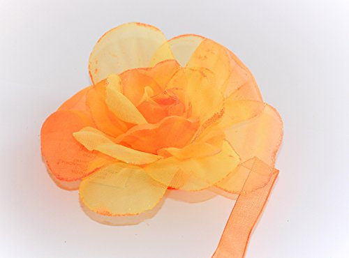 Penati-d Raffhalter „ Rose Nr.4” magnetisch für Gardinen 2-er Set (Orange)