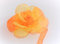 Penati-d Raffhalter „ Rose Nr.4” magnetisch für Gardinen 2-er Set (Orange)
