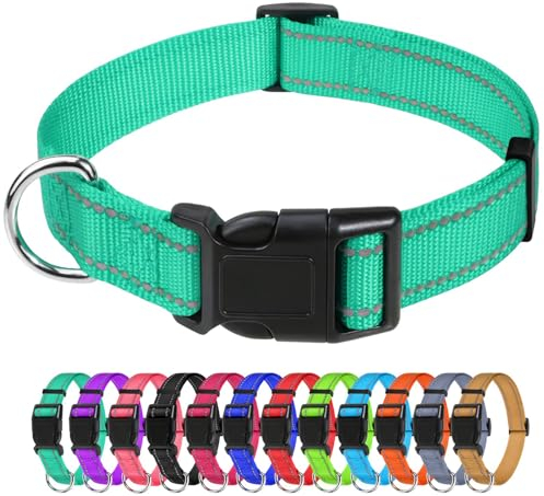TagME Nylon Hundehalsband, Verstellbares Reflektierendes Hundehalsband mit Sicherheitsschnalle für Mittlere Hund, Türkis, 2.5cm Breite
