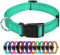TagME Nylon Hundehalsband, Verstellbares Reflektierendes Hundehalsband mit Sicherheitsschnalle für Mittlere Hund, Türkis, 2.5cm Breite
