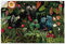 ARTland Wanddeko Wandtattoo selbstklebende Vinylfolie 120x80 cm Tropischer Dschungel exotische Pflanzen Blumen Papagei Vintage U5HD