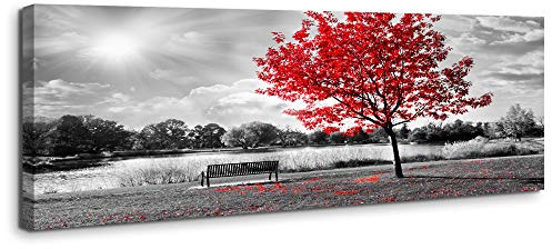 bestpricepictures 120 x 40 cm Bild auf Leinwand roter Baum 5747 deutsche Marke und Lager - Die Bilder/das Wandbild/der Kunstdruck ist fertig gerahmt.