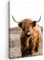 MuchoWow© Leinwand Bilder Groß 80x120 cm XXL Wanddeko Wohnzimmer Aesthetic Room Decor Deko Zimmer Wandbilder Modern Fotogeschenke Schottisches Hochlandrind - Landschaft - Kuh Bild - Braun - Natur