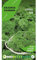 Graines passion, sachet de graines Persil Ilsa