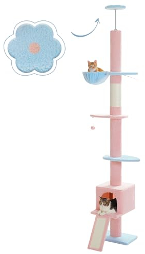 PAWZ Road Arbre à Chat du Sol au Plafond Hauteur Réglable 216-273 cm, Multi-Plateforme avec Hamac, Griffoir, Condo & Ceinture Anti-Chute, Bleu et Rose