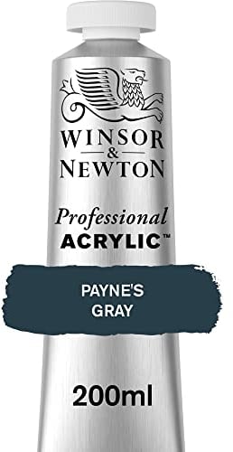 Winsor & Newton Professional - Pintura acrílica, tubo 200 ml, color gris de Payne