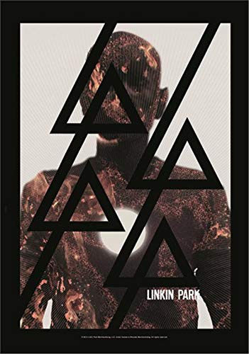 LINKIN PARK FLAGGE FAHNE POSTERFLAGGE BURN IT DOWN
