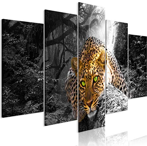decomonkey Bilder Tiere 200x100 cm 5 Teilig Wandbild Groß Leinwandbild XXL Deko Wohnzimmer Schlafzimmer Büro Wanddeko Leinwand Pictures For Wall Poster Wall Painting Wandbilder Set Natur Abstrakte