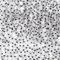 TOAOB 300 Piezas 5 mm Adhesivos Ojos Móviles Negros Ojos de Plástico Redondo Autoadhesivo Utilizados para Manualidades de Scrapbooking Accesorios