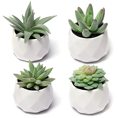 CADNLY Künstliche Sukkulenten Set – Künstliche Pflanzen für Frauen Schreibtisch – Realistische künstliche Sukkulenten in Keramiktöpfen – Mini-grüne Dekoration für Schlafzimmer, Badezimmer, Büro,