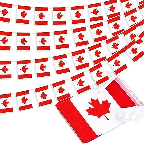 Kanada String Flag Pennant Banner, Small Mini Canadian Flags Bunting Banner, Canada Day Dominion Day National Country Decoration for School, Party, Sports Events, Patriotic Festival, 33 Feet 30 Flags
