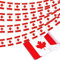 Kanada String Flag Pennant Banner, Small Mini Canadian Flags Bunting Banner, Canada Day Dominion Day National Country Decoration for School, Party, Sports Events, Patriotic Festival, 33 Feet 30 Flags