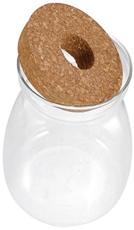 Cabilock Terrarienglas Für Pflanzen Moosterrarium Mikrolandschaftsterrarium Ökosystembehälter Terrarienpflanzen Glasterrariumglas Kleines Aquarium Hydrokulturpflanzenterrarium