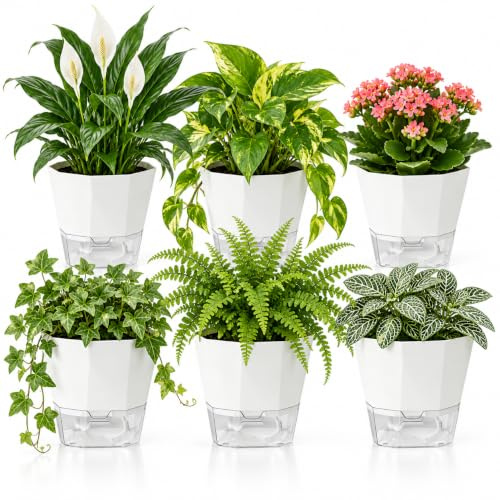 URMONA Selbstbewässernde Übertöpfe Set mit Docht und Wasserstandsanzeige | 6 Stück, Weiß, seitliche Nachfüllöffnung, transparenter Wasserstand, für Kräuter, Blumen und Zimmerpflanzen im Innenbereich